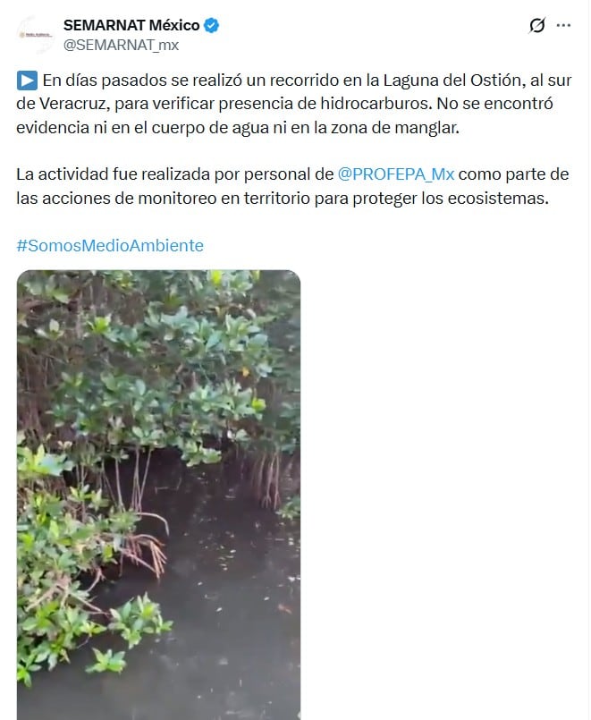 Semarnat declara libre de hidrocarburos Laguna del Ostión