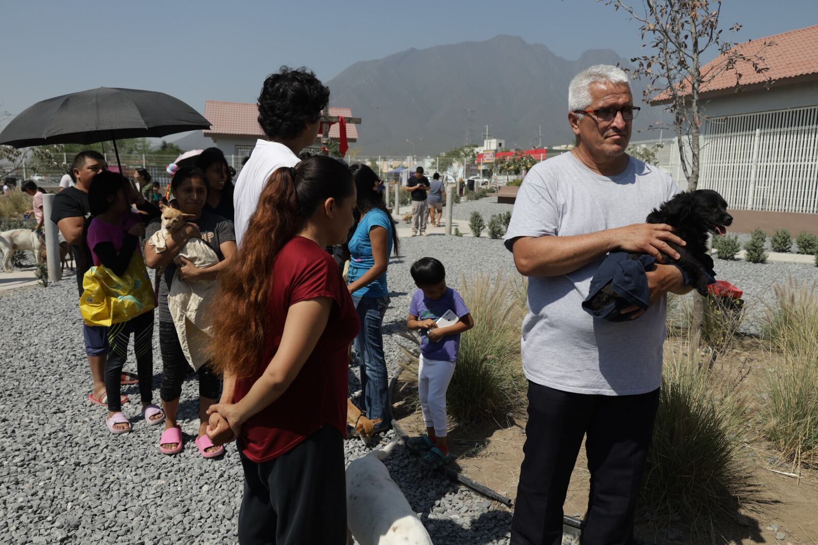 Andrés Mijes fortalece políticas de bienestar animal