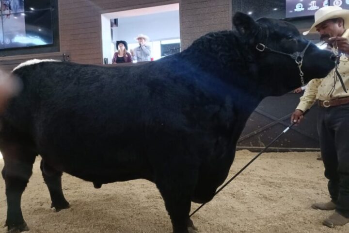 Presuntos asesinos de ganadero seguirán tras las rejas mientras avanza investigación