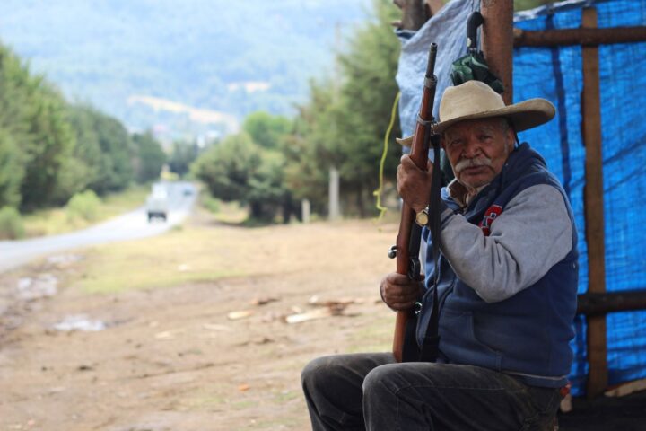 Tala ilegal en Michoacán, problema que data de varios años
