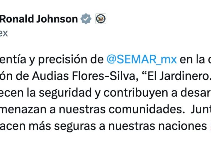 Ronald Johnson destaca trabajo de Semar en detención de El Jardinero