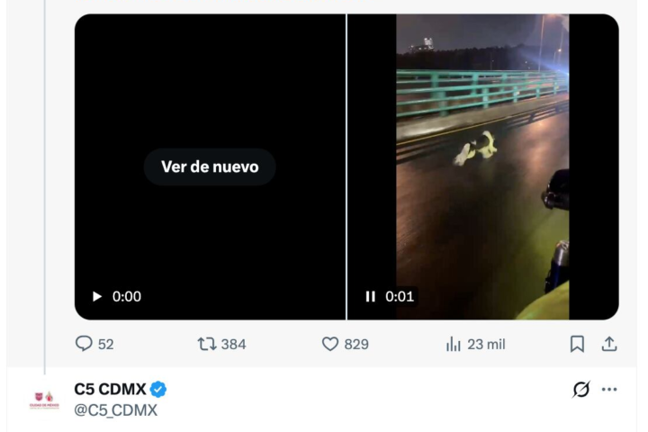 Captan a perro corriendo por el segundo piso del periférico