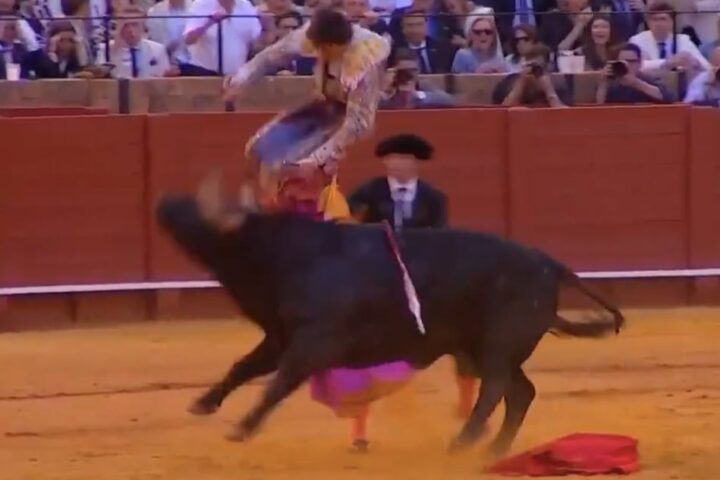 Roca Rey herido por un toro