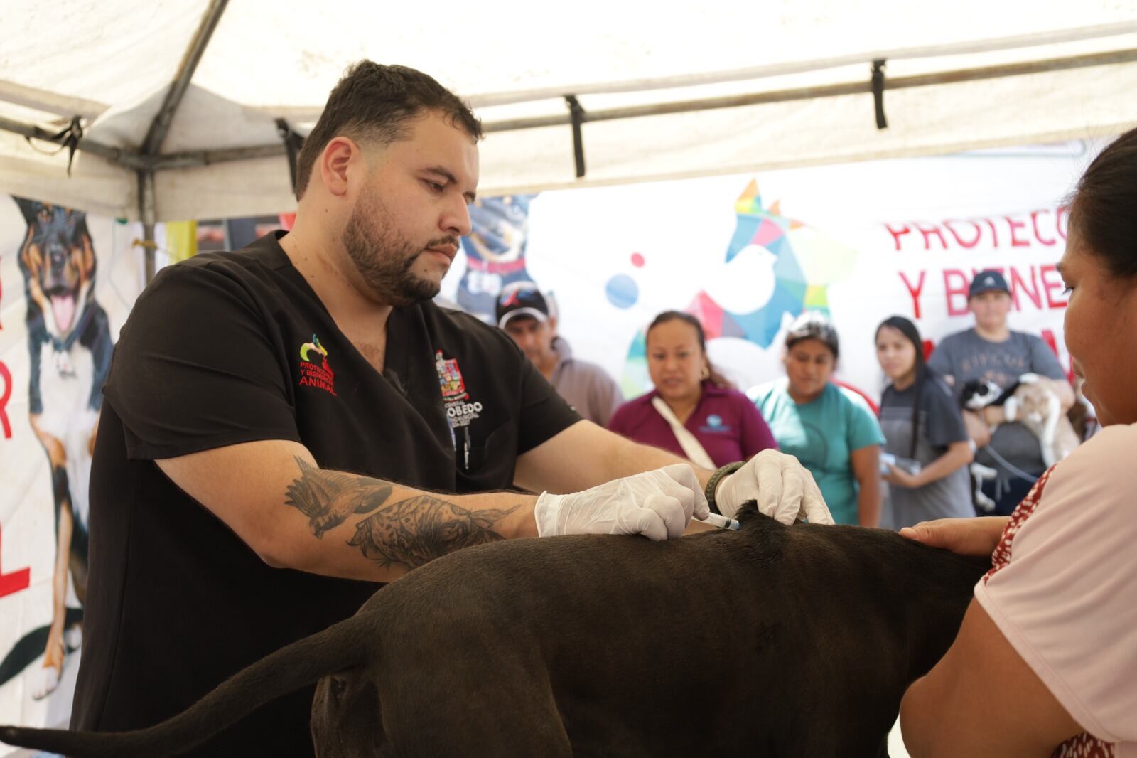 Andrés Mijes fortalece políticas de bienestar animal