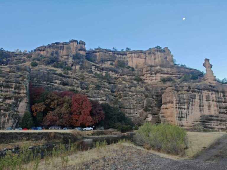 Periodo vacacional: una oportunidad para reconectar con la naturaleza