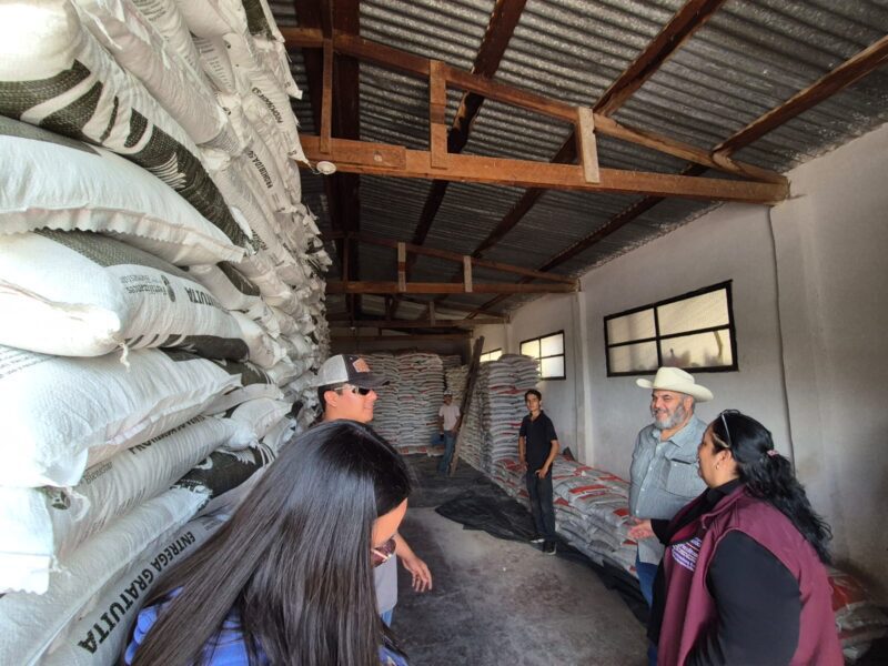 Inicia en Chihuahua el Programa Fertilizantes para el Bienestar 2026