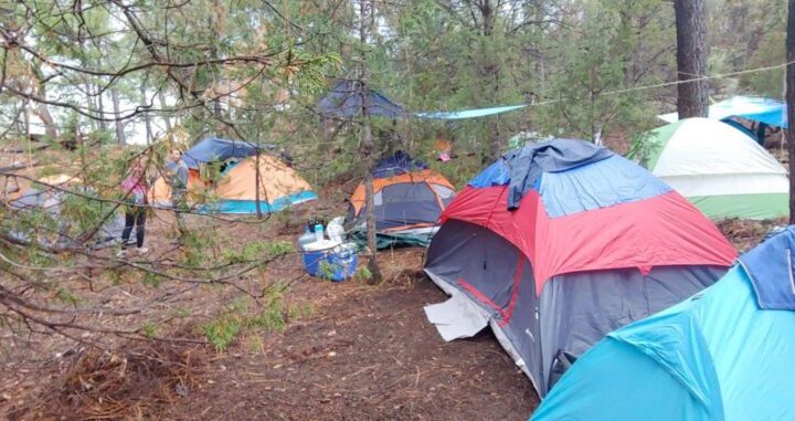 Especialista de la UACH emite recomendaciones para un campismo responsable en zonas boscosas.