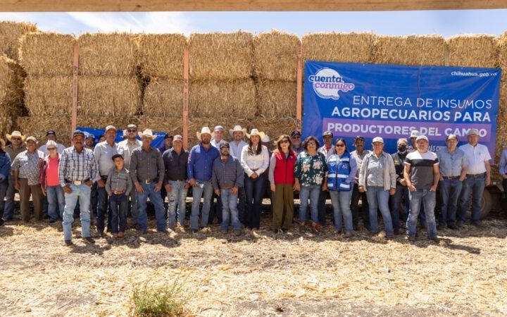 Entregan pacas de rastrojo a 456 productores del municipio de Cuauhtémoc