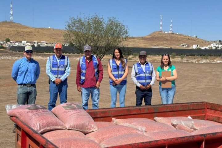 Abre SDR convocatoria para apoyo en semilla de frijol