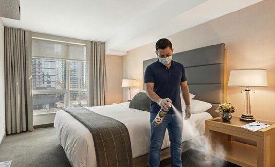 Recomienda a Airbnb fumigar contra plagas