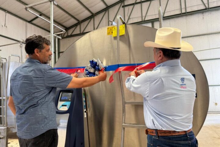Abren apoyos para centros de acopio de leche