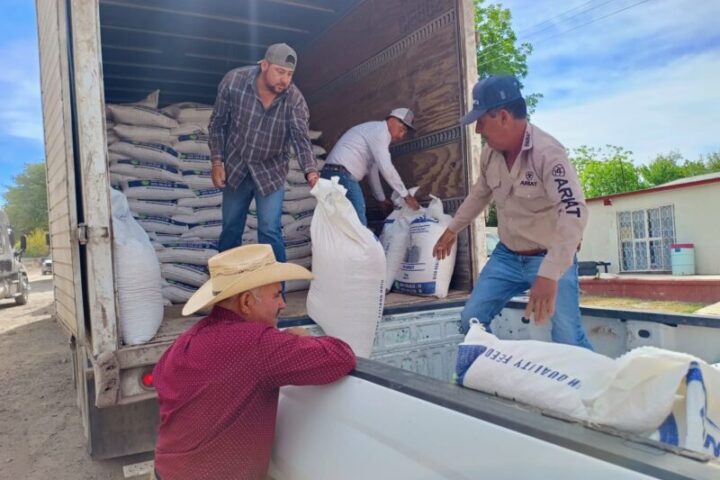 Abren apoyos para insumos pecuarios en Chihuahua