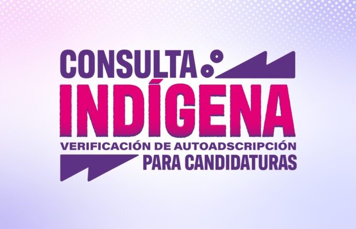 Anuncia IEE Chihuahua consulta indígena para fortalecer la representación política