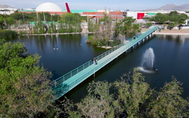Noticias Chihuahua Pausa.MX Chihuahua celebra el día del niño con actividades llenas de magia
