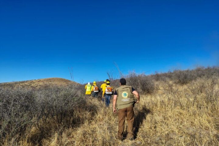 Noticias Chihuahua Pausa.MX Llaman a evitar incendios forestales y en pastos
