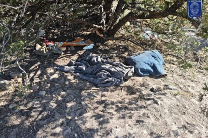 Detienen en Nonoava a civil armado y destruyen cuatro campamentos