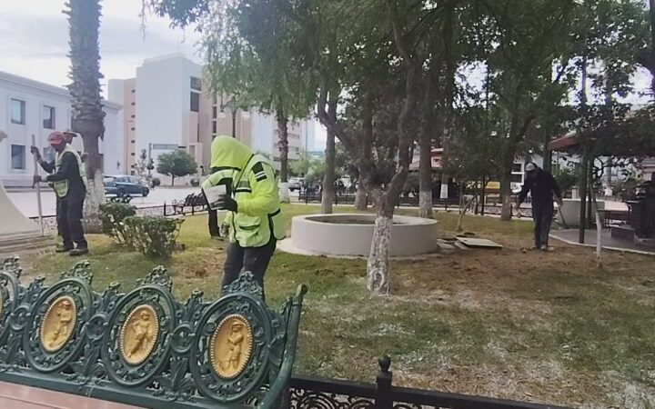 Fertilizan áreas verdes de Plaza Hidalgo