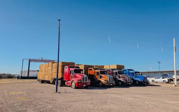 Gobierno Municipal y Gobierno del Estado superan este año las 1,200 pacas de rastrojo entregadas a productores camarguenses