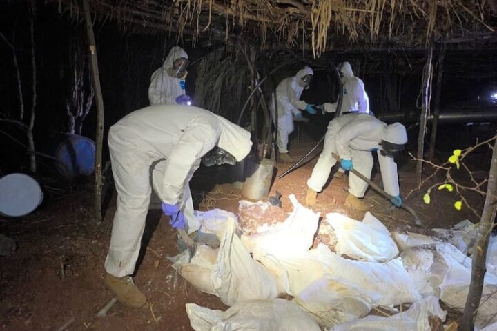 Golpe al crimen organizado: decomisos históricos sacuden redes del narcotráfico