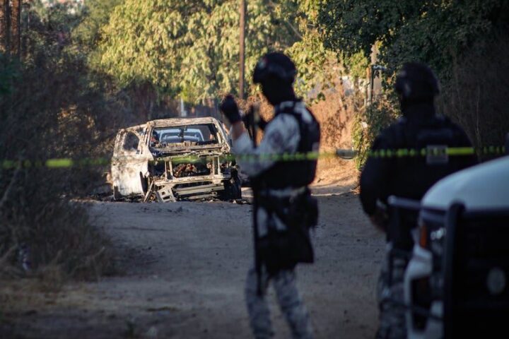 Golpes al narco: operativos sacuden estructuras criminales