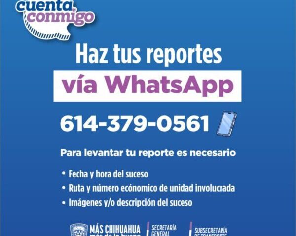 Invitan a reportar incidencias en transporte público vía WhatsApp