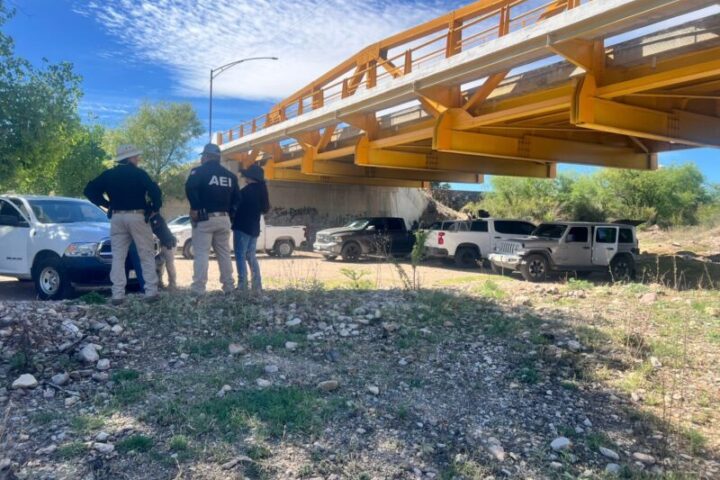 Localizan restos óseos durante rastreo en Matamoros