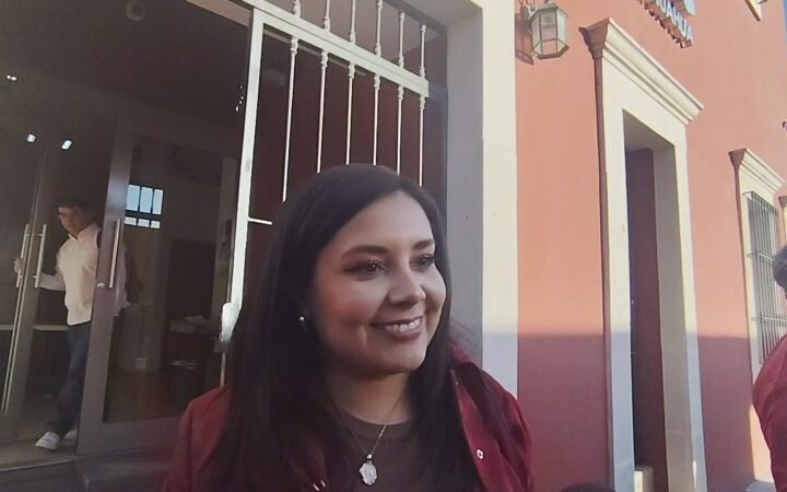 Preocupante ausencia de Brighitte Granados en consejo de Morena: Mayra Chávez