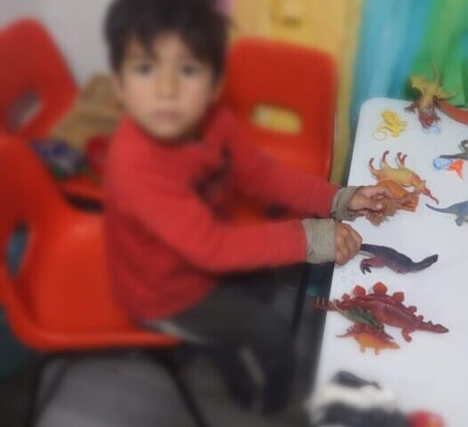 Solicitan apoyo para localizar familiares de menor en Cuauhtémoc