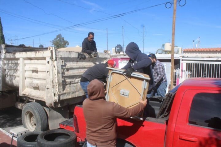 ¿Tuviste contacto con garrapatas? Aquí las recomendaciones