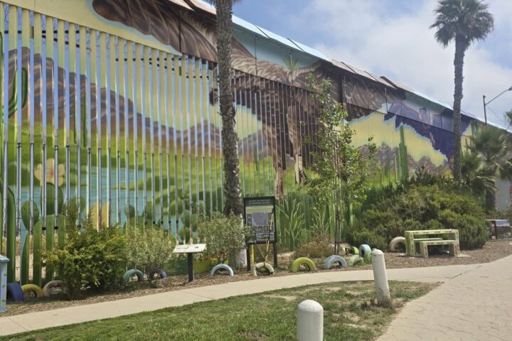 Activistas piden formalizar adopción del Jardín de la Amistad de Playas de Tijuana