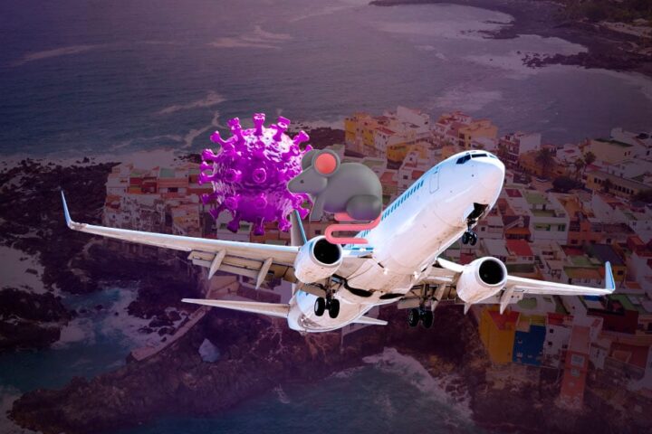 Primer avión con evacuados por hantavirus sale de Islas Canarias