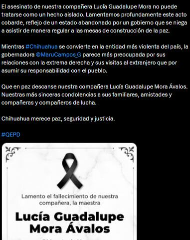 Ariadna Montiel lamenta el asesinato de Lucía Guadalupe Mora en Valle de Allende, Chihuahua.