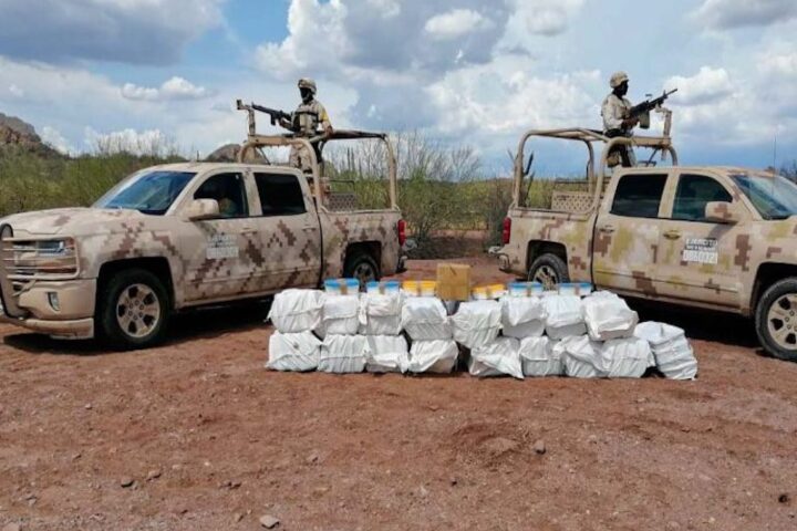 Chihuahua Bajo Presión: Millonarios Decomisos Golpean al Narcotráfico en el Estado