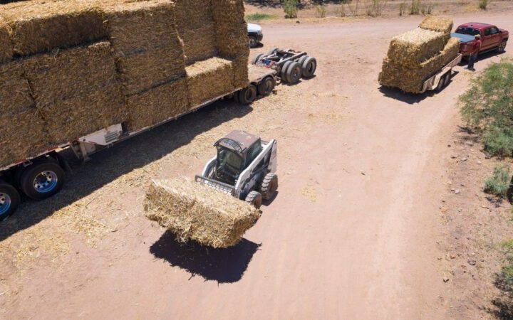 Entregan pacas de rastrojo a productores de Parral