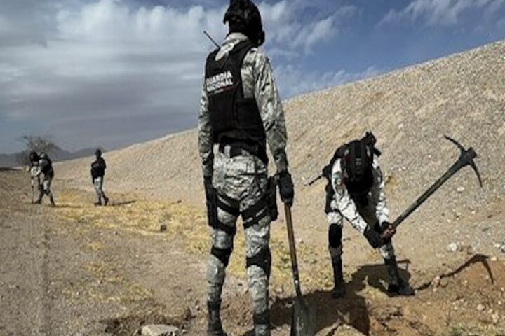 Golpes al crimen organizado: Guardia Nacional intensifica operativos en todo el país