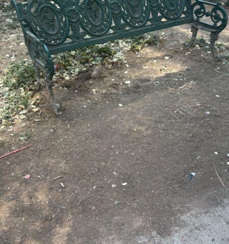 Reportan vandalismo y descuido en la Deportiva