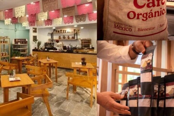 Tiembla Starbucks: Cacfetería del Bienestar sacude Reforma y ahora busca competir con café mexicano