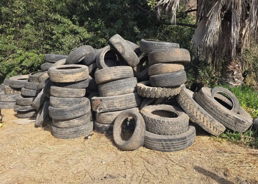 Tijuana enfrenta una crisis ambiental por llantas abandonadas