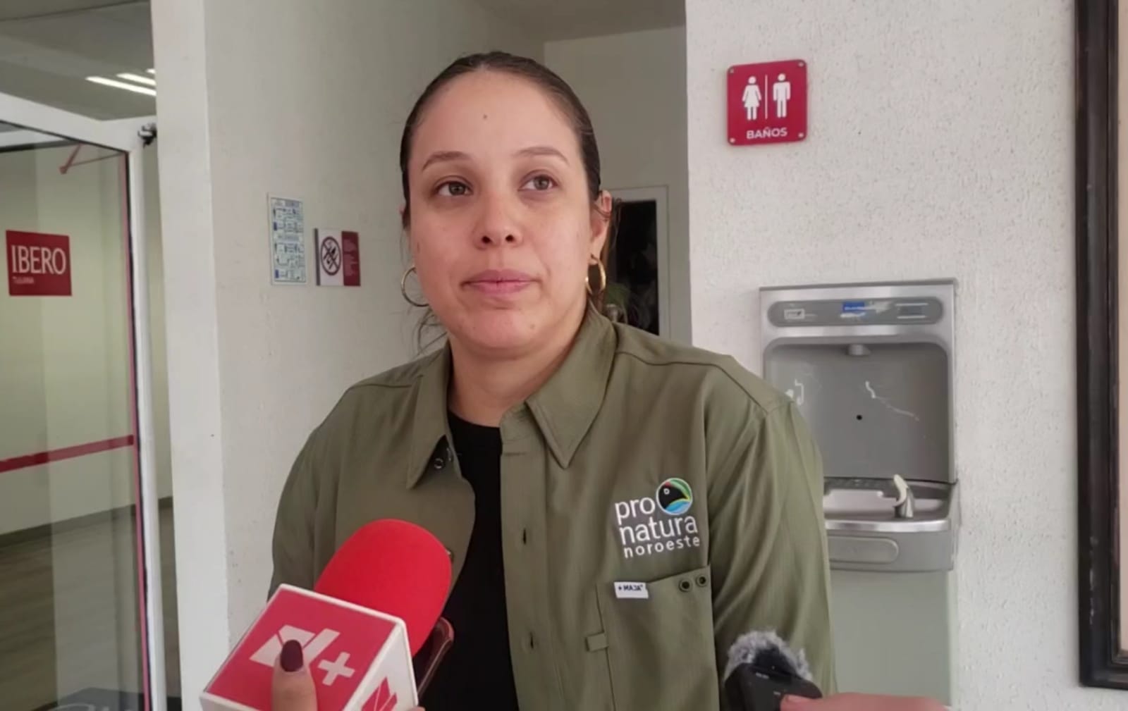 Pronatura Noroeste busca convertir a la ciudadanía en aliada de la defensa ambiental