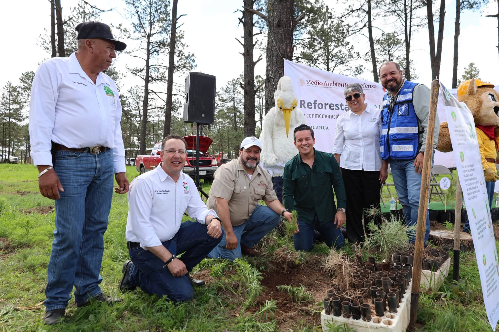 Conmemoran Día Nacional del Árbol con jornada de reforestación en Guachochi