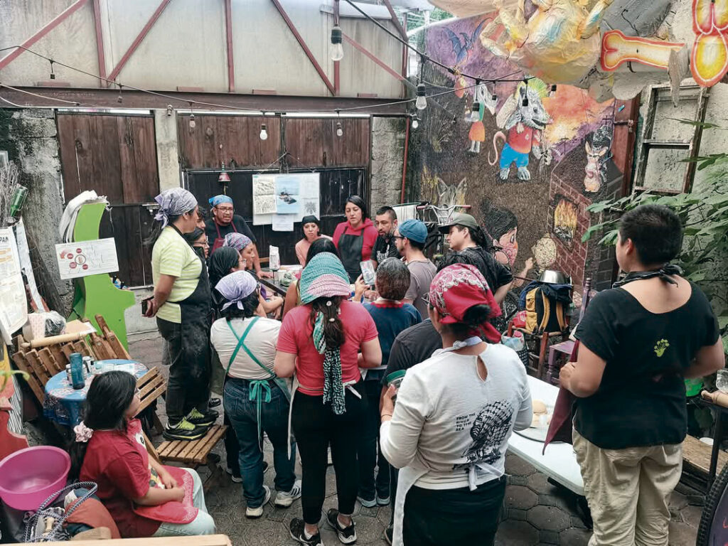 De bebida milenaria a la panadería: cómo este proyecto en Tlalpan revaloriza el pulque