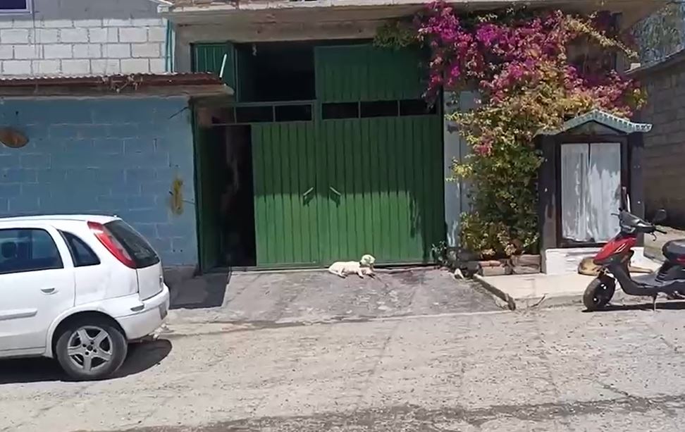 denuncian allanamiento y robo por parte de supuestos elementos de la fiscalia mexiquense en nopaltepec