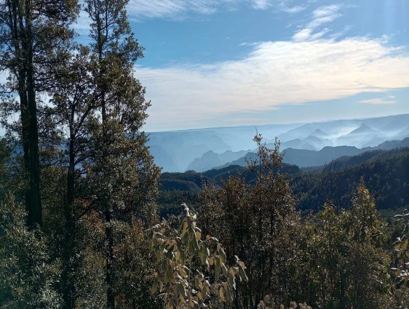 Desmantelan pista clandestina del narco en la Sierra Tarahumara mediante operativos con drones