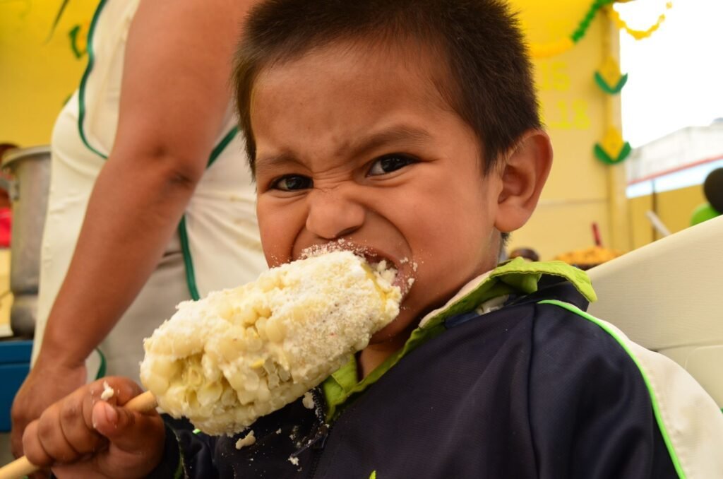 Feria Nacional del Elote 2026 en Tlalpan: fechas, sedes y todo lo que debes saber