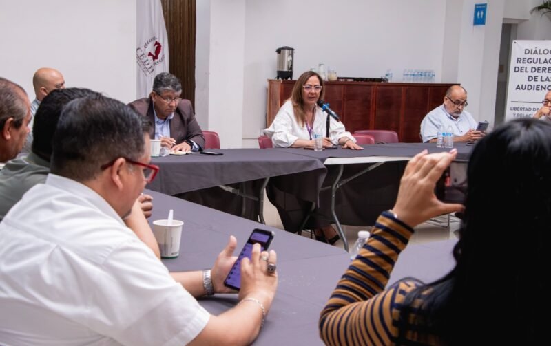 Garantizar derechos de audiencias sin vulnerar la libertad periodística exige la CEDH