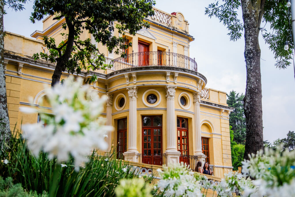 Guía gastronómica definitiva para descubrir los mejores sabores del centro de Tlalpan