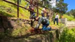 Impulsan jornada de reforestación en la emblemática Cascada El Salto en Guachochi