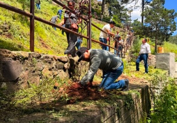 Impulsan jornada de reforestación en la emblemática Cascada El Salto en Guachochi