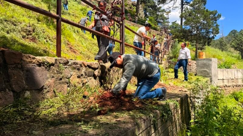 Impulsan jornada de reforestación en la emblemática Cascada El Salto en Guachochi