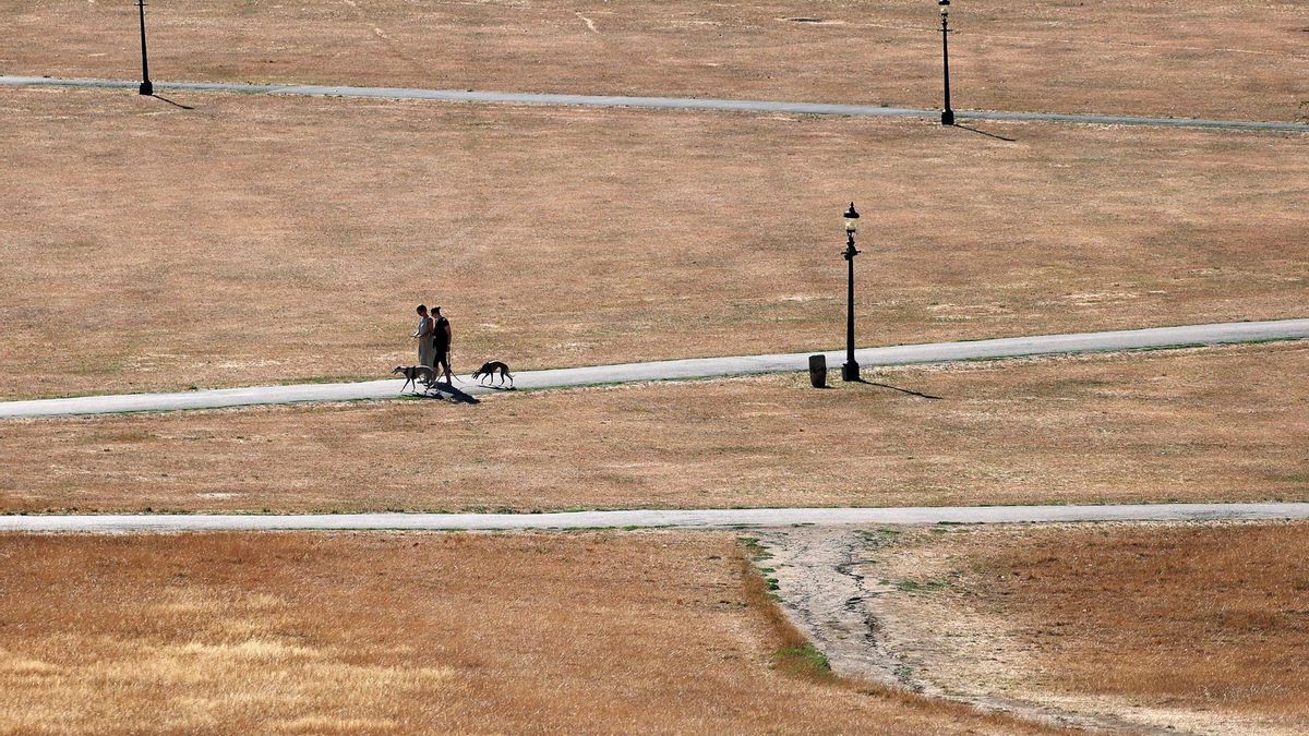 La extrema derecha británica banaliza las olas de calor mientras el país sufre sequía e incendios